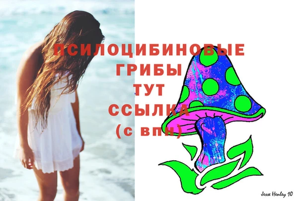 прущие крисы Балахна