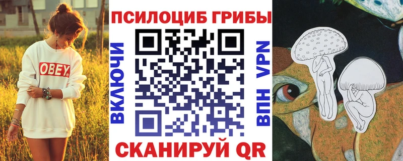 Галлюциногенные грибы GOLDEN TEACHER  Чудово 